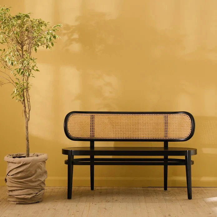 Musk Teak Rattan Bench